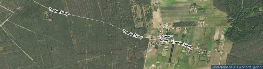 Zdjęcie satelitarne Trzebicz Nowy ul.